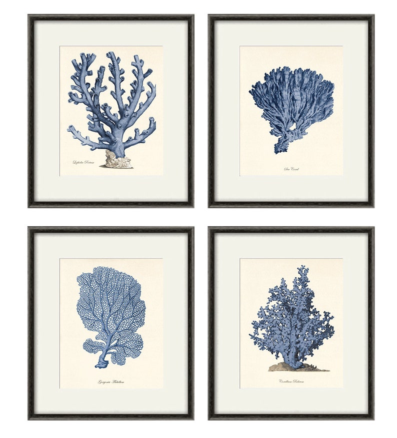 Blue Sea Coral Art Nautical Art Print Set Old Prints Ocean Etsy