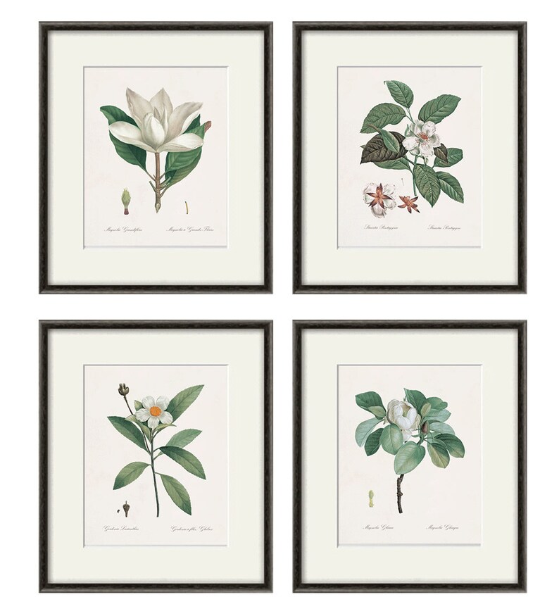 Antique Botanical Prints SET of 4 Botanical Art Prints Flower Etsy