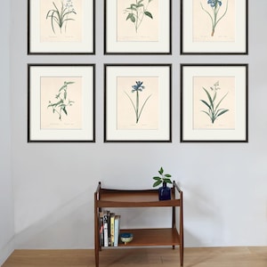Antique botanical prints SET of 6 Botanical art prints flower prints wall art flowers botanical poster antique wall art home decor wall art