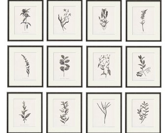 Antique botanical prints SET of 12 Botanical art prints flower prints wall art flowers botanical poster antique wall art home decor wall art