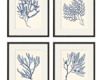 Antique Sea Coral Art Print Set: Navy Blue Nautical Wall Art