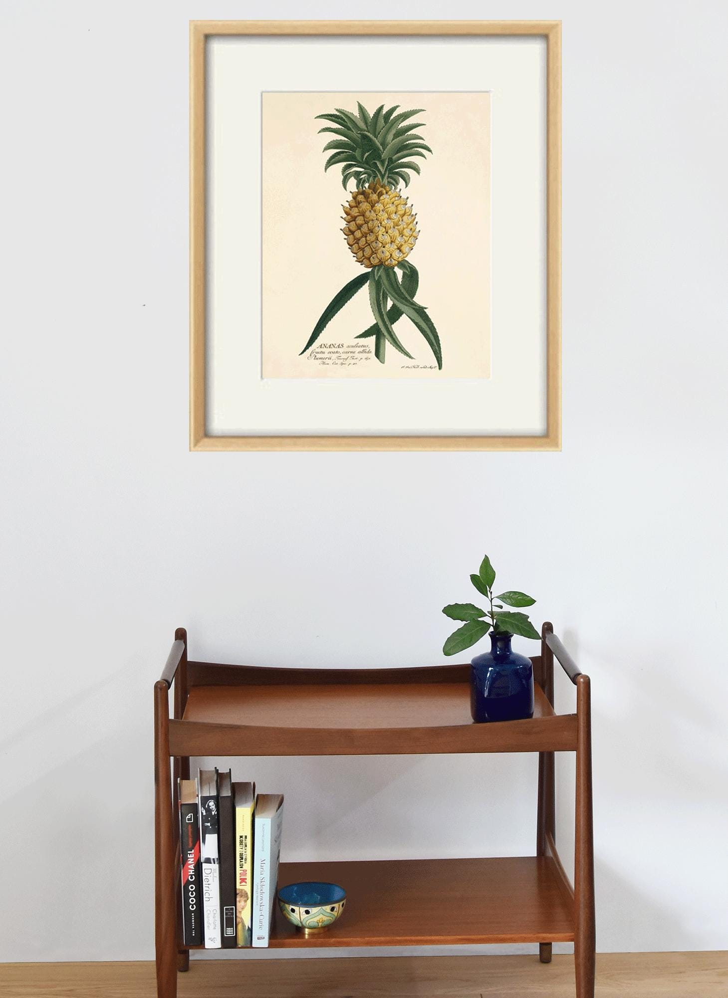 Vintage Pineapple Print: French Botanical Art, Victorian Decor - Etsy