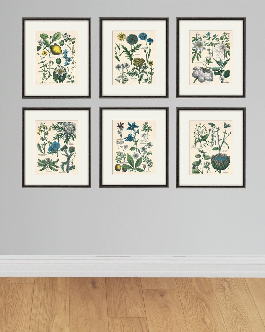 kitchen wall decor art prints - botanical prints -... Antique Kitchen Herb Print Set: Vintage Botanical Wall Art - Etsy