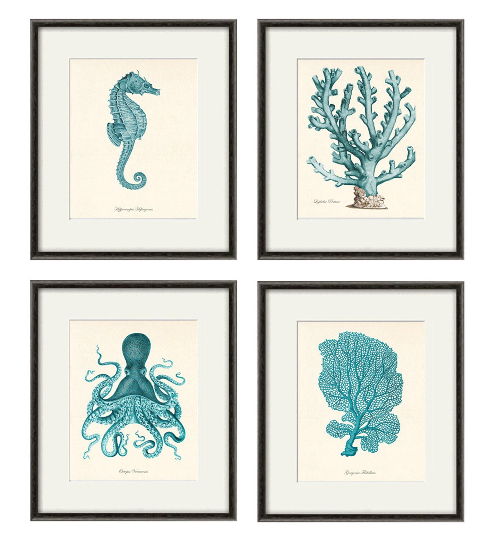 Blue Sea Coral Art Nautical Print Set Sea Art Print Vintage Etsy