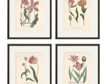 Antique Botanical Prints Set: French Lithograph Reproduction, 1800s Wall Art