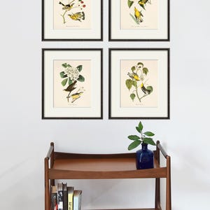 May include: Four framed prints of yellow birds on branches with flowers. The prints are arranged in a grid pattern on a white wall. A wooden shelf with books and a blue vase with a green plant is below the prints.