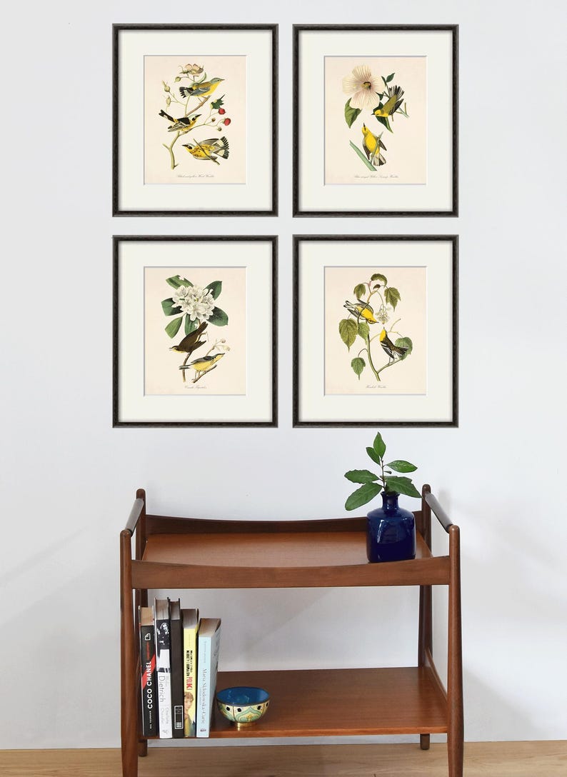 May include: Four framed prints of yellow birds on branches with flowers. The prints are arranged in a grid pattern on a white wall. A wooden shelf with books and a blue vase with a green plant is below the prints.