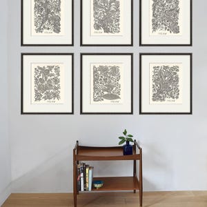 Antieke botanische prints SET van 6 botanische kunst wordt afgedrukt bloem prints muur kunst bloemen botanische poster antieke muur kunst home decor kunst aan de muur