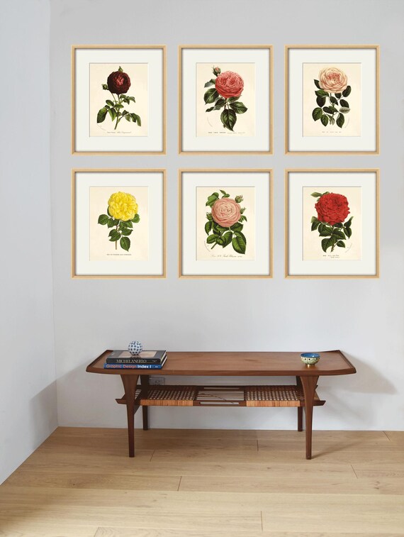Antique Red Rose Print: Victorian Botanical Wall Art - Etsy