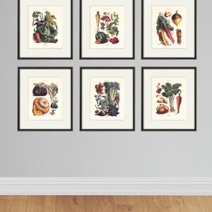 Vegetable art print Antique botanical print vegetable print kitchen art print antique wall art kitchen poster kitchen prints vegetable decor