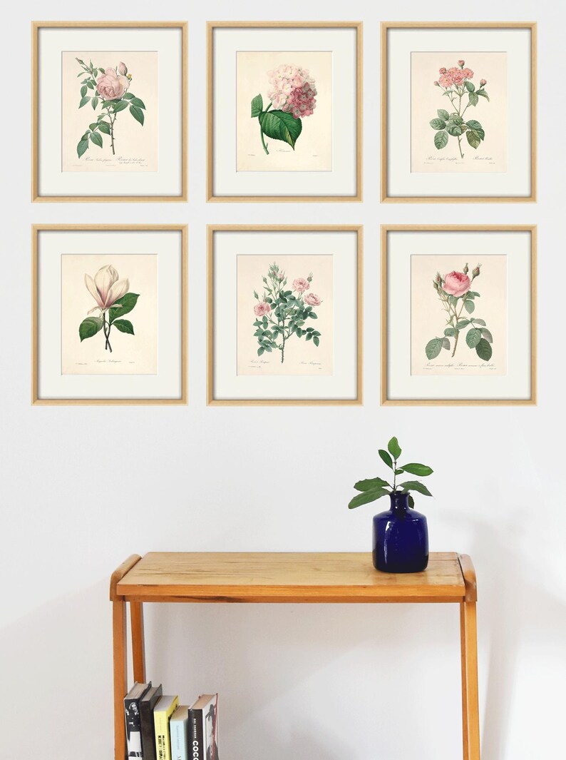 Antique Flower Art Print Set Antique Prints Pink Botanical Prints ...