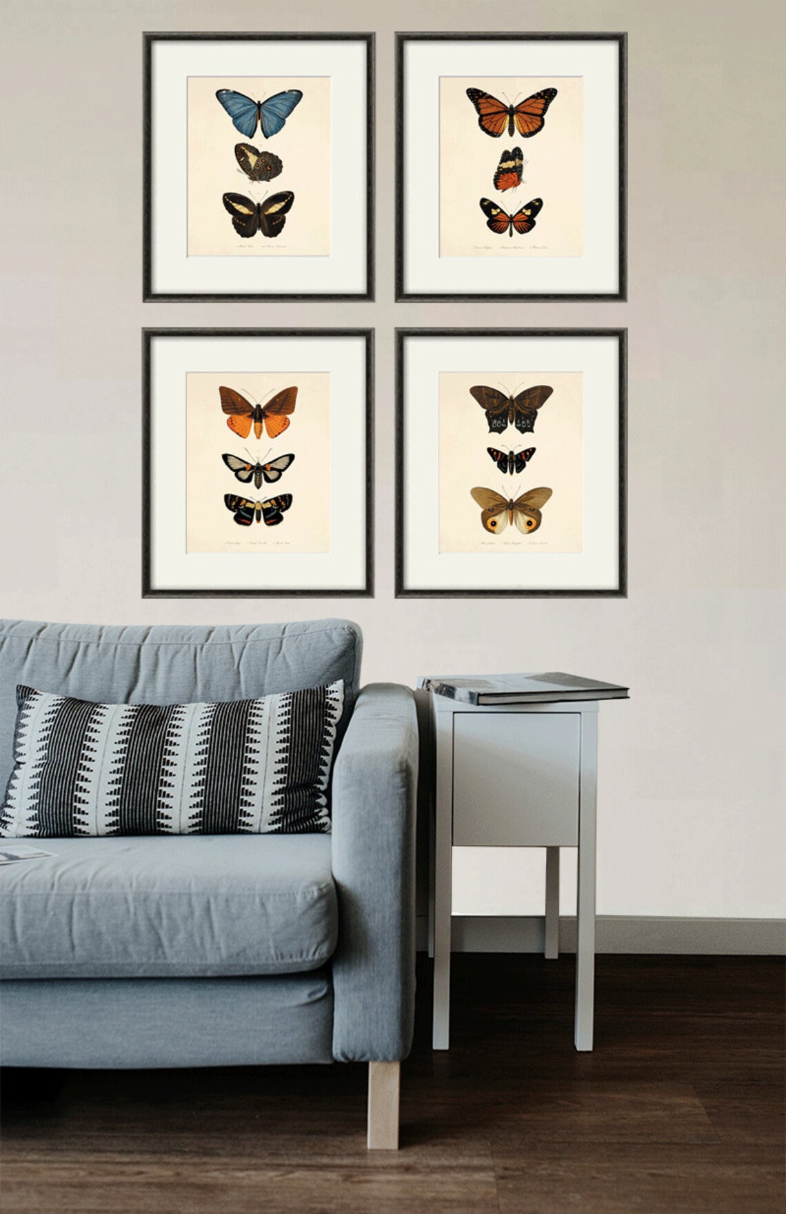 Antique Butterfly Art Butterfly Print Set Natural History Art - Etsy