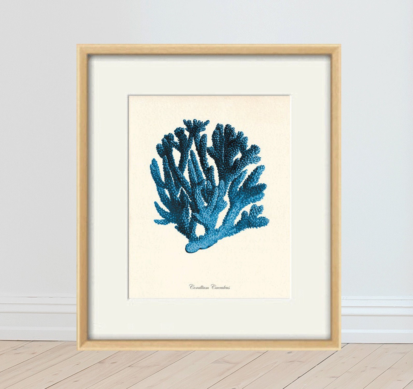 Blue Coral Art Print Vintage Nautical Art Print Sea Art Print - Etsy