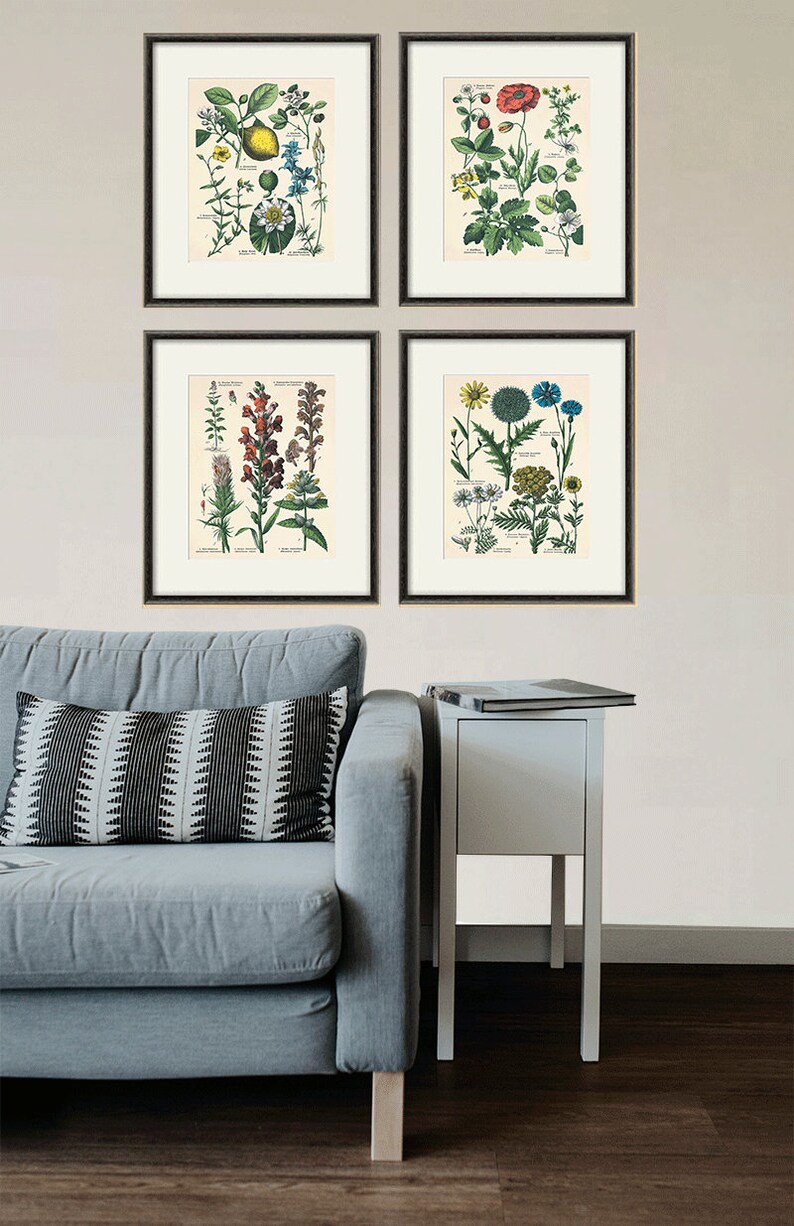 Antique Flower Print Cottage Wall Art Flowers Victorian Print Etsy