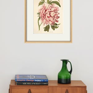 May include: A framed botanical illustration of a pink peony flower with green leaves. The print is displayed on a wall above a wooden dresser with two books and a green glass vase.