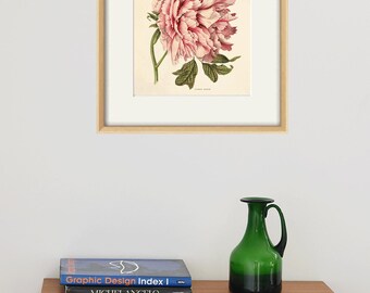Tableau Décoratif Pivoine Parfumé – Impression Sur Toile Intissé – Prêt à Accrocher – Design Floral
