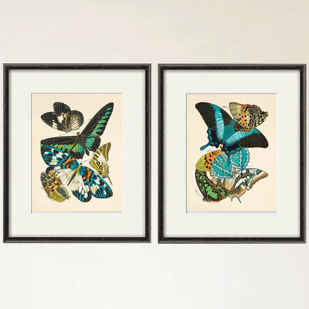 Antique Butterfly Print Set: Victorian Natural History Art - Etsy