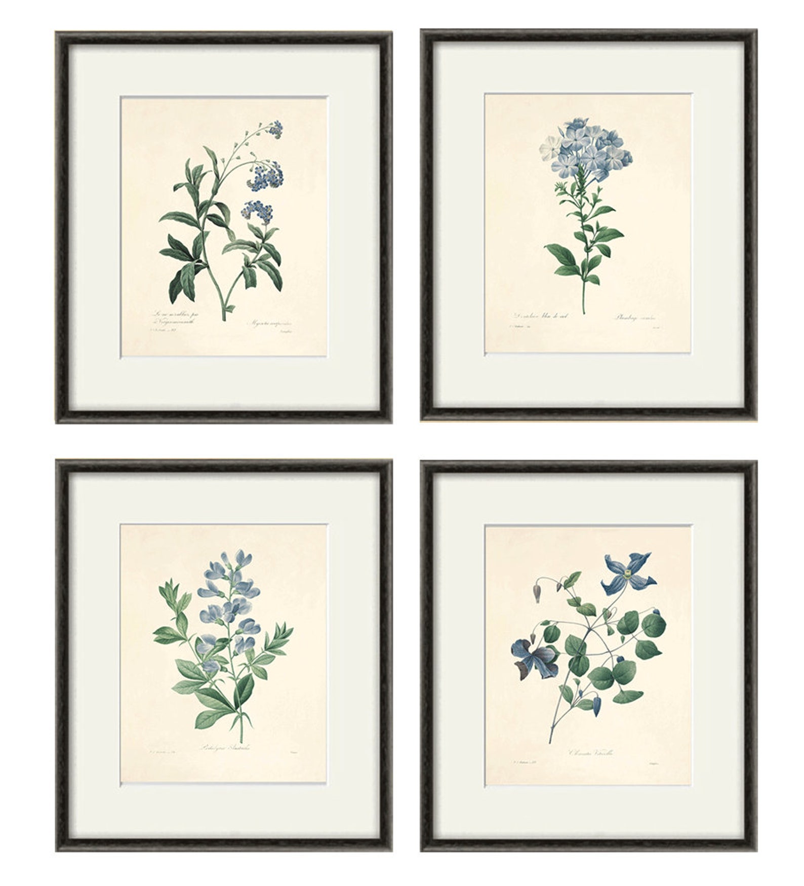 Blue Botanical Prints Vintage Flower Art Cottage Wall Art Etsy Australia
