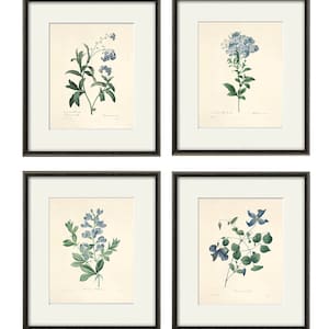 Blaue botanische Drucke, Vintage Blumendruck, Cottage Wandkunst, viktorianischer Druck, französische Wandkunst, antike Wandkunst, Blumendruck, Gartendruck
