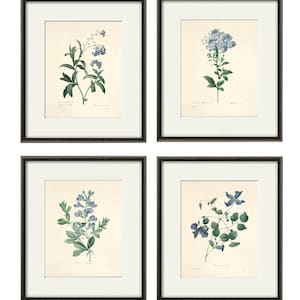 Blue botanical prints, vintage flower art, Cottage wall art, Victorian print, French wall art, antique wall art, Flower print, Garden print