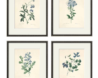 Blue botanical prints vintage flower art Cottage wall art Victorian print French wall art antique wall art Flower print Garden art print