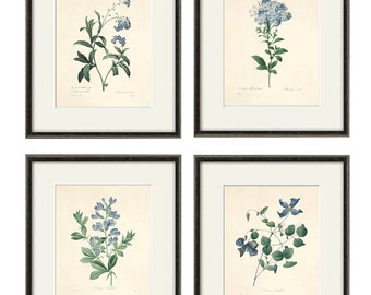 Blue botanical prints, vintage flower art, Cottage wall art, Victorian print, French wall art, antique wall art, Flower print, Garden print