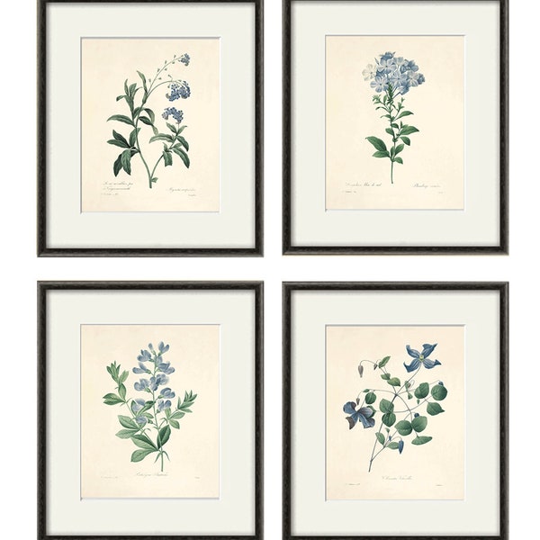 Blue botanical prints, vintage flower art, Cottage wall art, Victorian print, French wall art, antique wall art, Flower print, Garden print