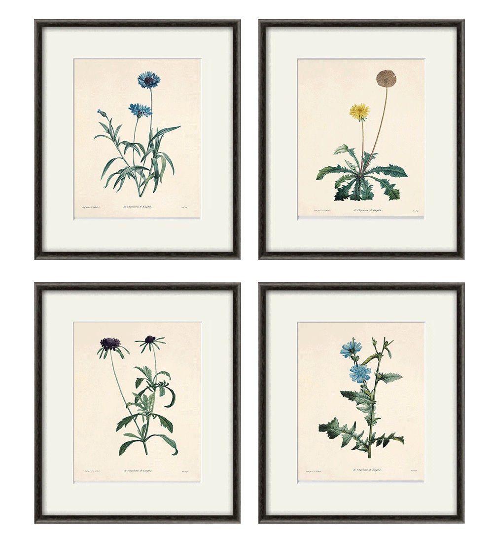 Antique Botanical Prints SET of 4 Botanical Art Prints Flower Etsy