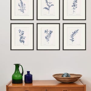 Stampe botaniche antiche SET di 6 stampe artistiche botaniche stampe floreali arte murale fiori poster botanico arte murale antica arredamento per la casa arte murale