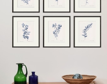 Set von 6 antiken Wildblumen botanischen Drucken: Französische Blumenwandkunst