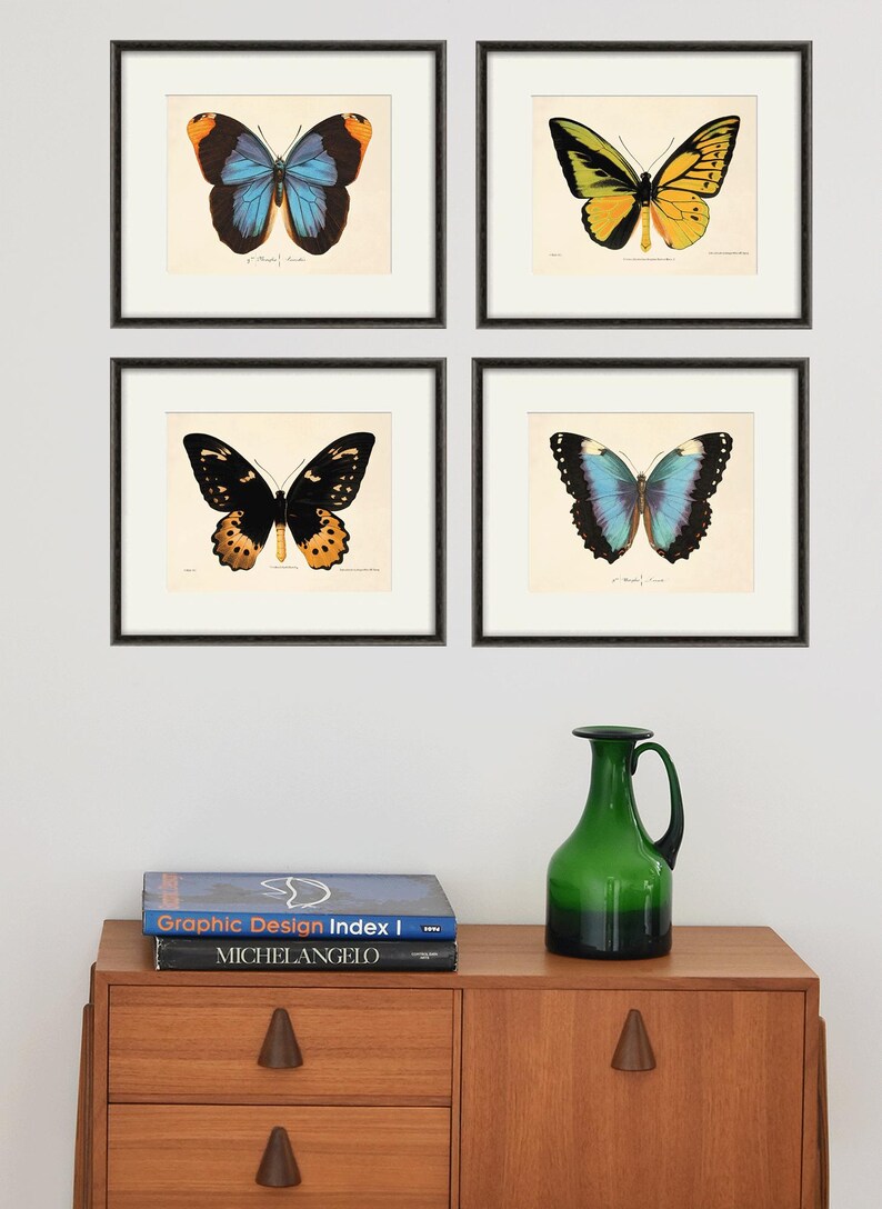 May include: Four framed butterfly illustrations with black frames on a white wall. The butterflies are in various colors, including blue, green, yellow, and orange. The illustrations are arranged in a square pattern.