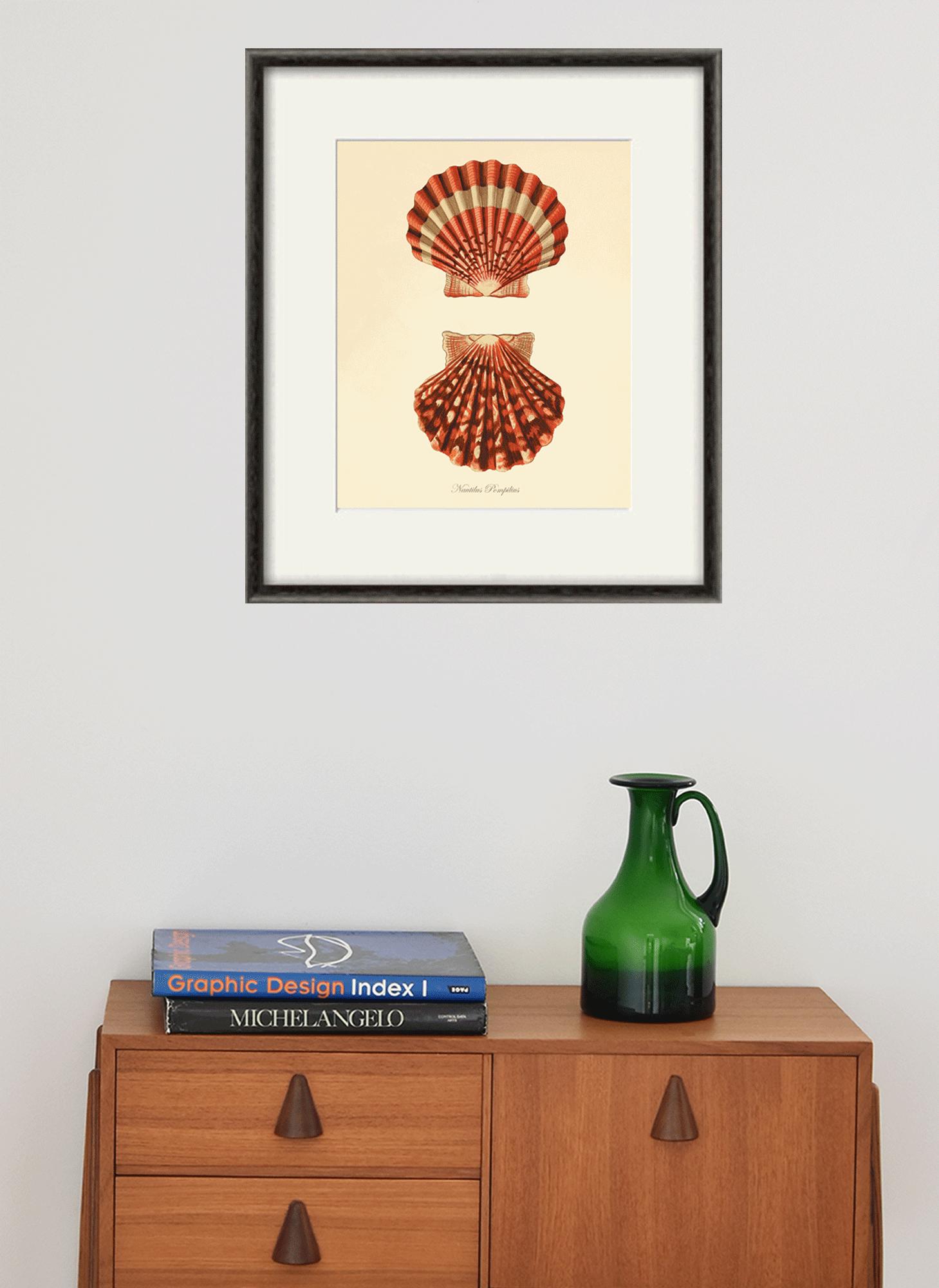 Antique Seashell Art Print Vintage Nautical Art Print Sea