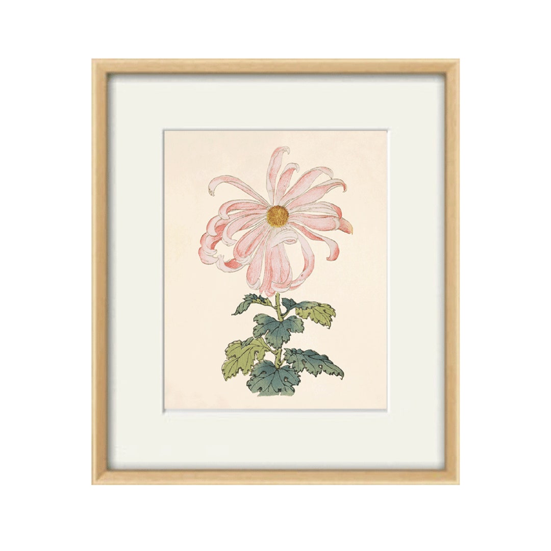 Botanical Art Print Pink Flowers Art Print Antique Wall Art Flower Wall
