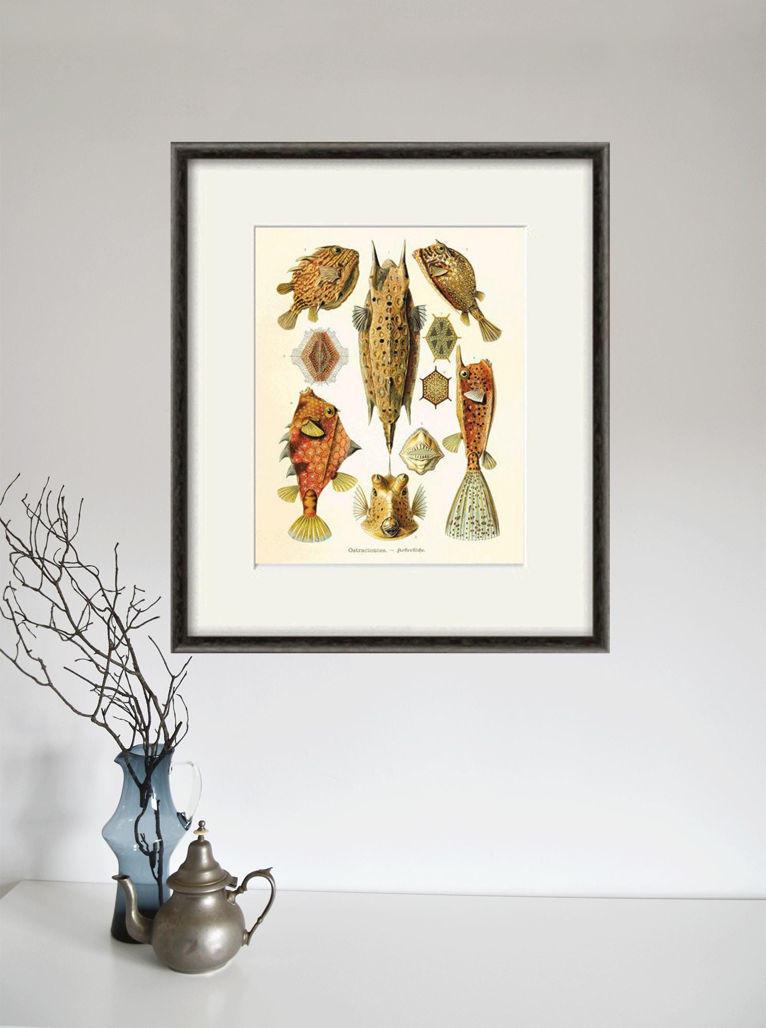 Antique Fish Art Vintage Nautical Print Ocean Art Sea Beach