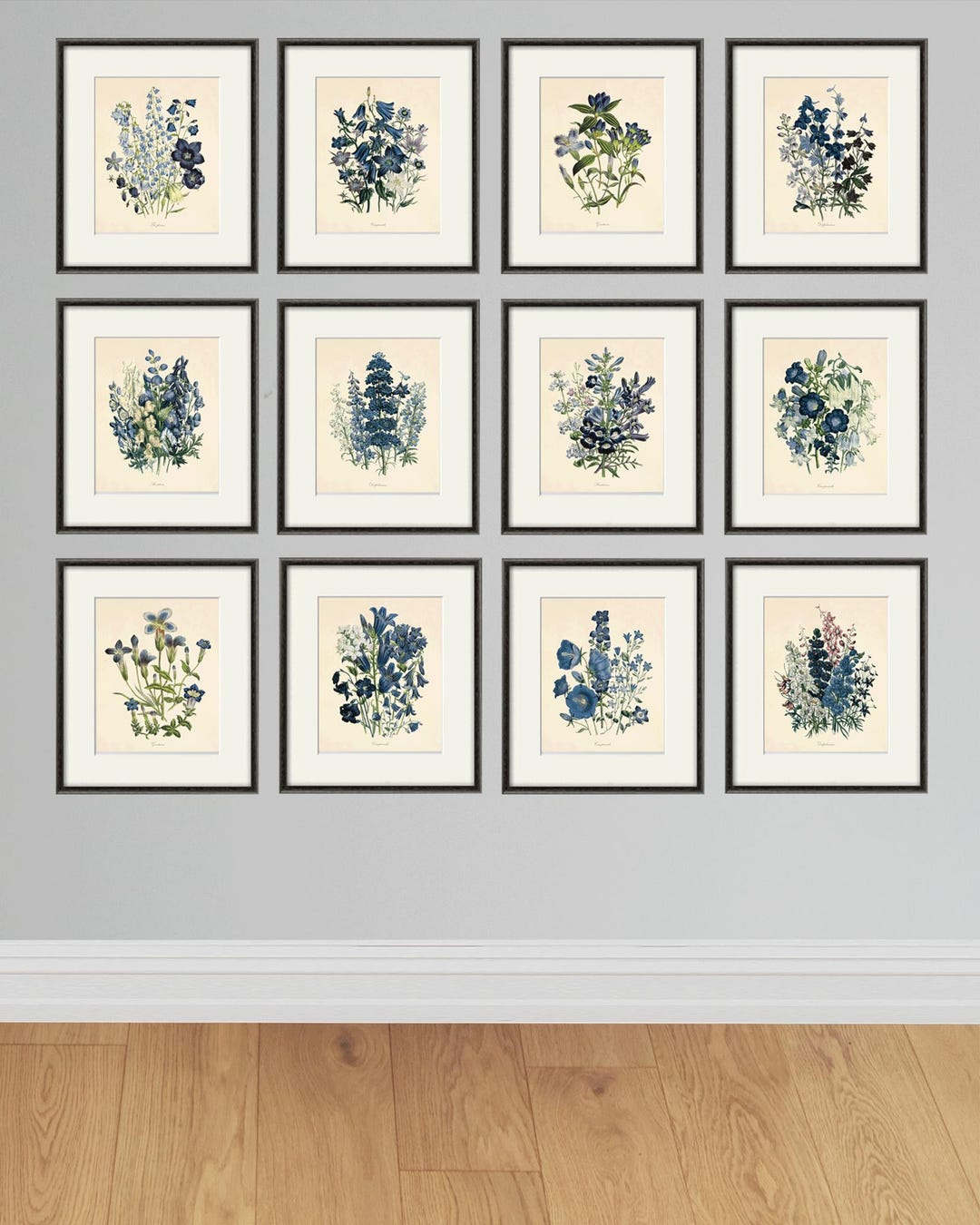 Antique Botanical Prints: Set of 12 French Floral Flowers Wall Art - Etsy
