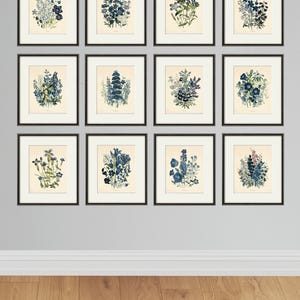 Antique botanical prints SET of 12 Botanical art prints flower prints wall art flowers botanical poster antique wall art home decor wall art