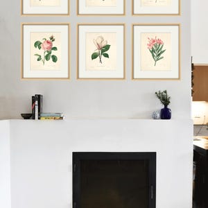 May include: Six framed botanical prints of pink and white flowers, arranged in a grid on a white wall above a black fireplace.