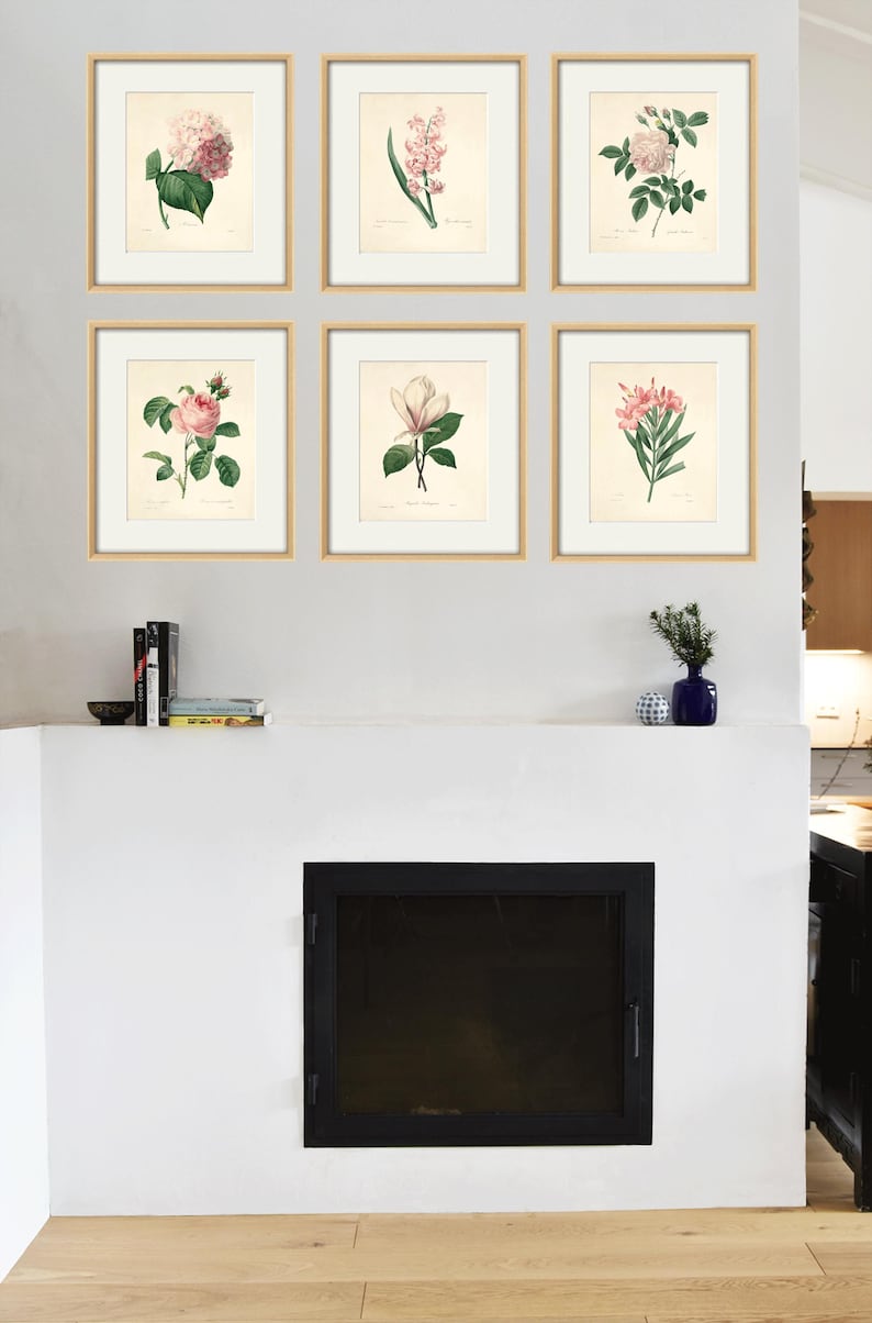 May include: Six framed botanical prints of pink and white flowers, arranged in a grid on a white wall above a black fireplace.