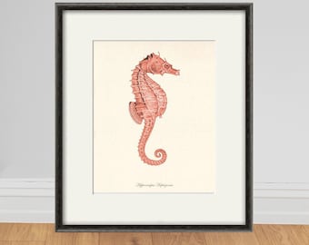 Antique Seahorse Print, Vintage Nautical Wall Art
