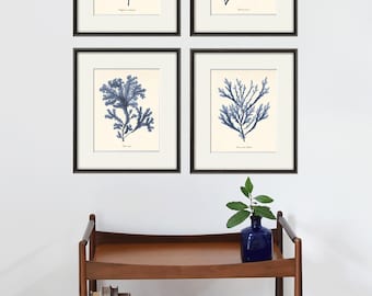 Antique Ocean Life Art Print Set: Victorian Nautical Wall Decor
