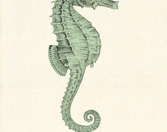 Vintage Seahorse Art Print, Green Ocean Illustration