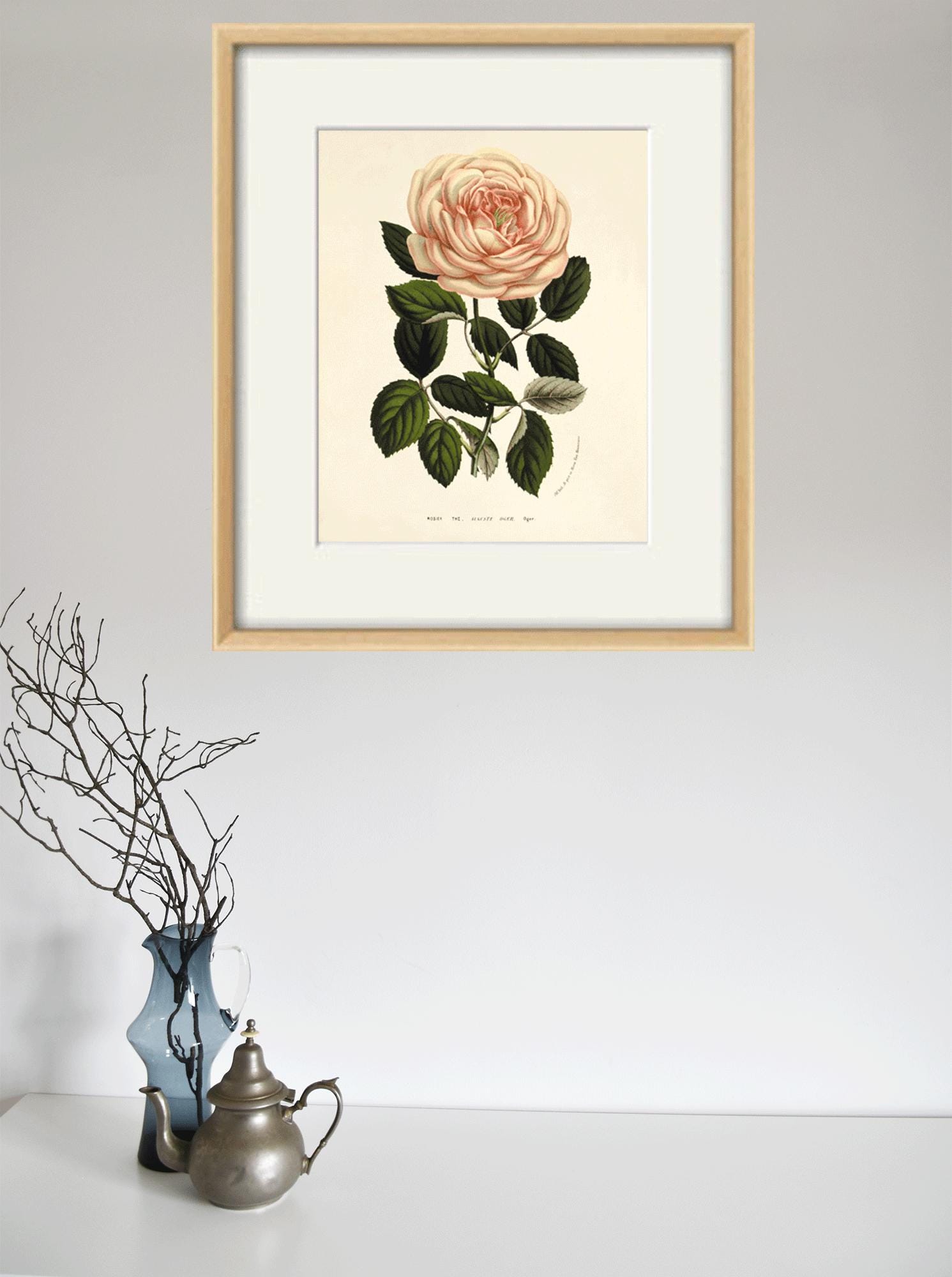 Vintage Pink Rose Art Print: Antique Botanical Wall Decor - Etsy