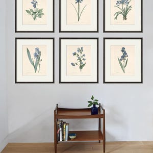 Antique botanical prints SET of 6 Botanical art prints flower prints wall art flowers botanical poster antique wall art home decor wall art