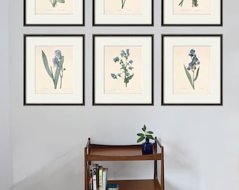 Antieke botanische prenten - Set van 6 Pierre-Joseph Redoute bloemen muurkunst