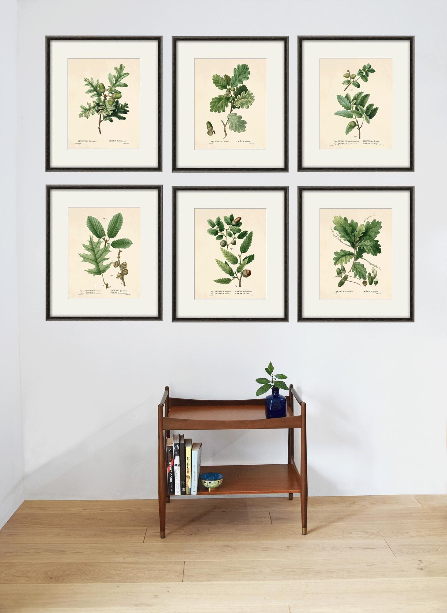 アンティークオークリーフプリントセット：フランス風植物画ウォール