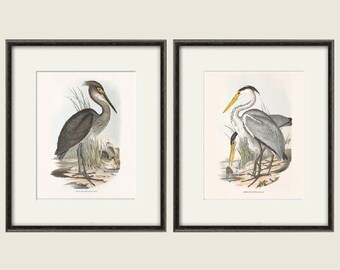 Bird wall art print Bird art print Nature print art print poster wall art print Victorian art old print Garden Wall art print set bird decor