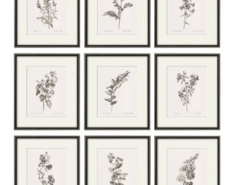 Antique botanical prints SET of 9 Botanical art prints flower prints wall art flowers botanical poster antique wall art home decor wall art