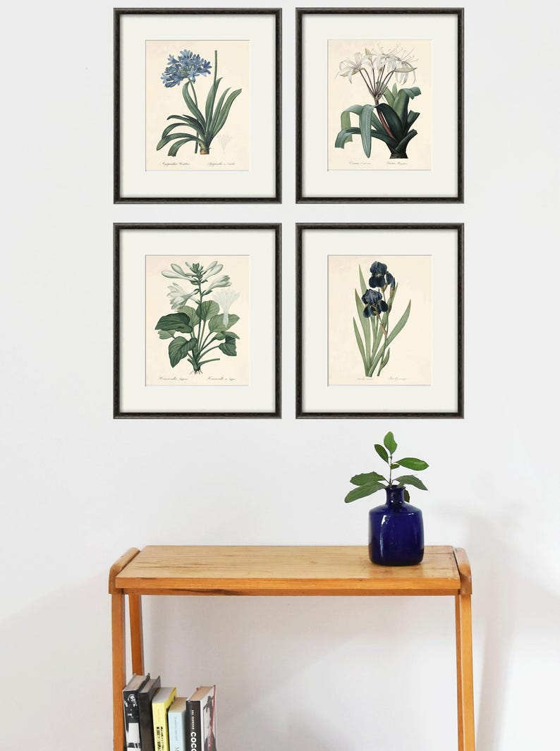 May include: Four framed botanical prints featuring different flowers. The prints are in black frames and are arranged in a grid pattern on a white wall. The flowers are a blue agapanthus, a white crinum, a white lily, and a dark blue iris.