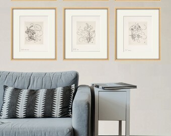 Floral art Antique botanical art prints flower print wall art flower botanical poster antique wall art botanical drawing home decor wall art