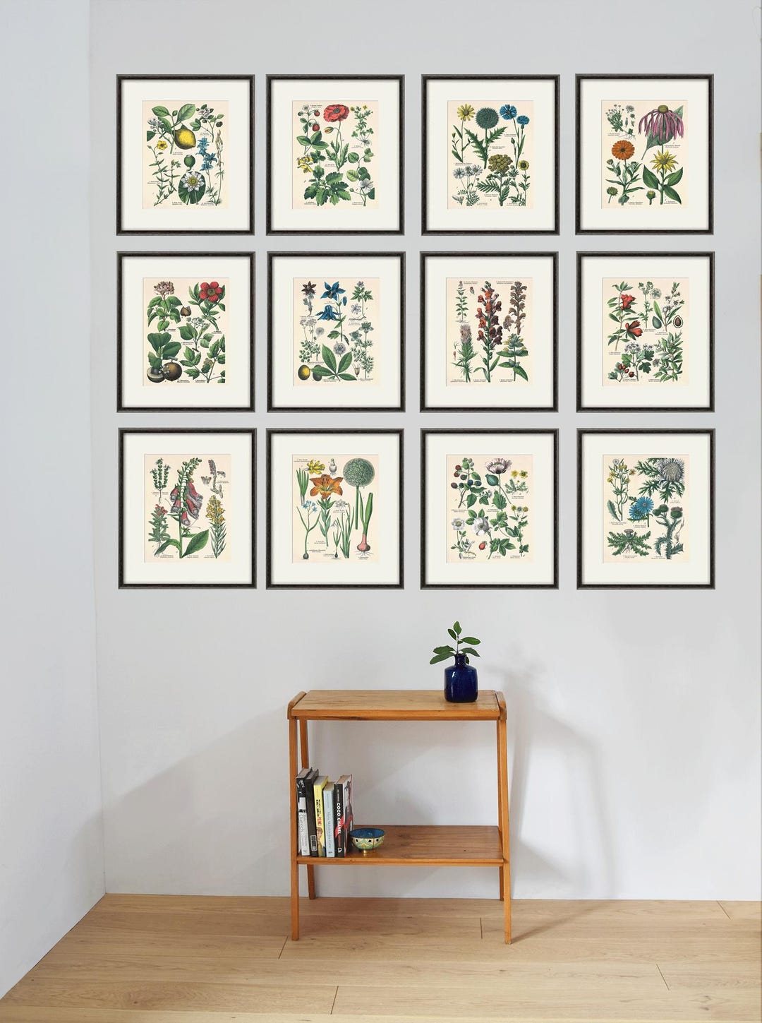 Antique Kitchen Herbs Print Set: 1870s Botanical Wall Art, Set of 12 - Etsy